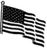 American Flag for Website